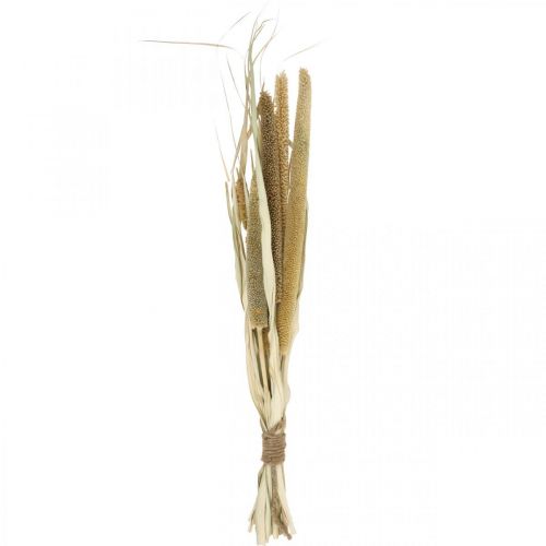 Floristik24 Dry floristry Grain Bunch of millet cobs dried 45cm