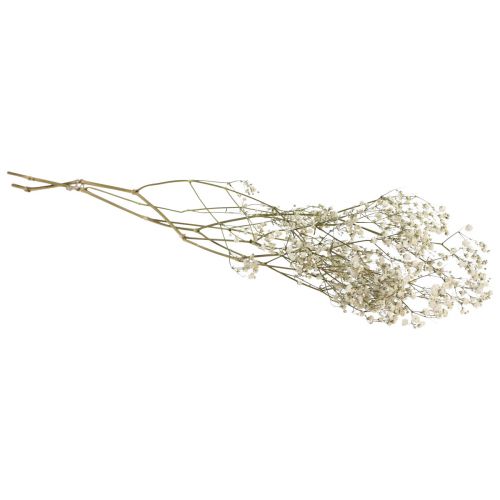 Floristik24 Dried flowers Gypsophila Gypsophila White 58cm 7g