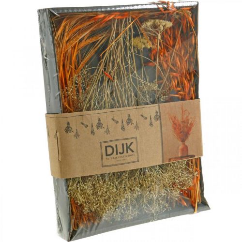Floristik24 Dried Flowers Box Orange Dry Floristry Set