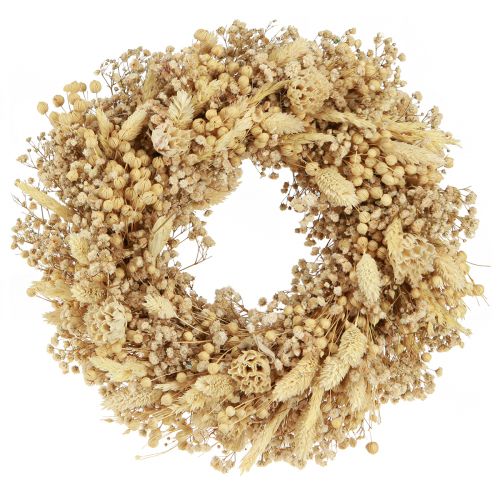 Floristik24 Dried flower wreath bleached decorative wreath cream Ø25cm