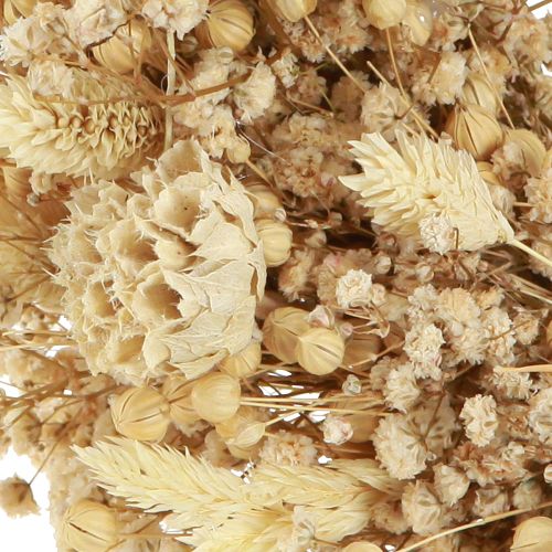 Product Dried flower wreath bleached decorative wreath cream Ø25cm