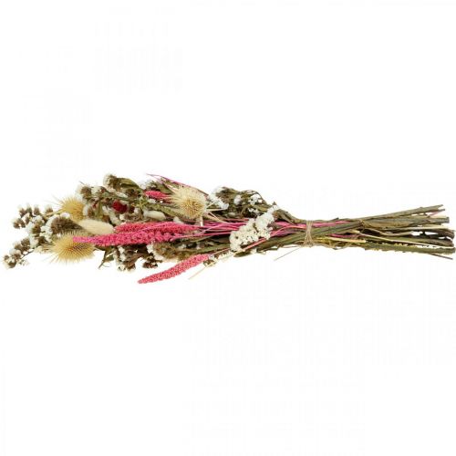 Floristik24 Dried flower bouquet straw flowers bouquet thistle 40–45cm