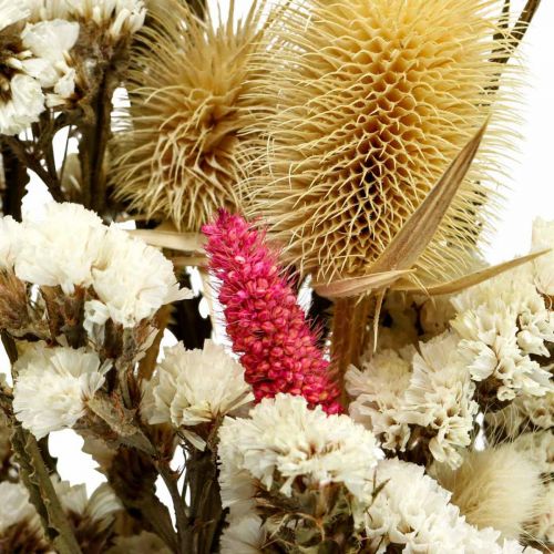 Floristik24 Dried flower bouquet straw flowers bouquet thistle 40–45cm