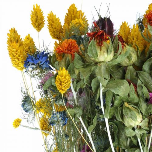 Product Bunch of dried flowers Bunch of dried flowers Meadow flowers bouquet 58cm