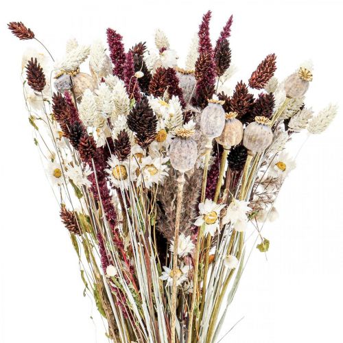 Floristik24 Bouquet of dried flowers summer decoration dried flowers 58cm