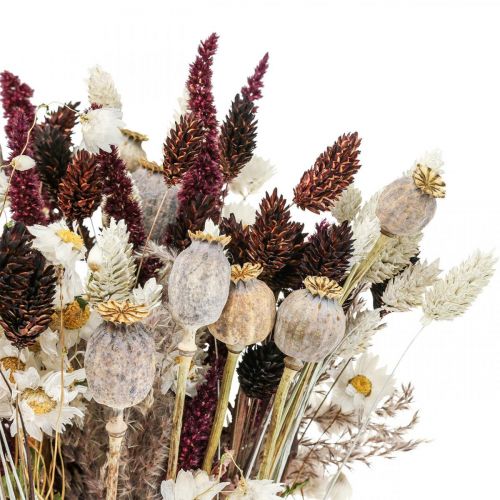 Floristik24 Bouquet of dried flowers summer decoration dried flowers 58cm