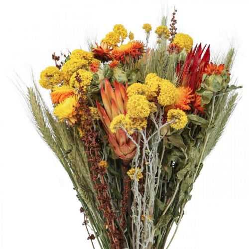 Floristik24 Dried flower bouquet meadow flowers orange H50cm 300g