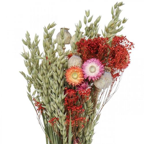 Floristik24 Bouquet of dried flowers Bouquet of meadow flowers Red H50cm 150g