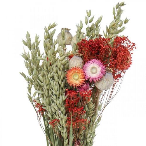 Product Bouquet of dried flowers Bouquet of meadow flowers Red H50cm 150g