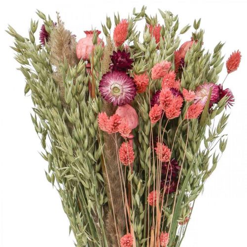 Floristik24 Bouquet of dried flowers straw flowers grain poppy capsule Phalaris sedge 55cm