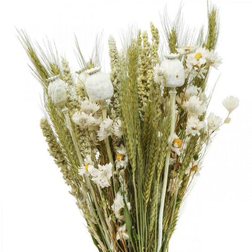 Floristik24 Bouquet of dried flowers straw flowers grain poppy capsule dry grass 50cm