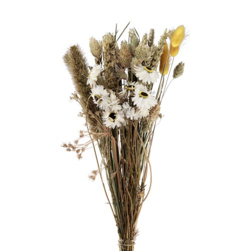 Dried flower bouquet straw flowers Phalaris white yellow 30cm