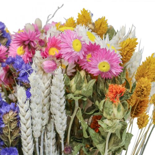 Product Bouquet of dried flowers sea lavender Phalaris grain 55cm