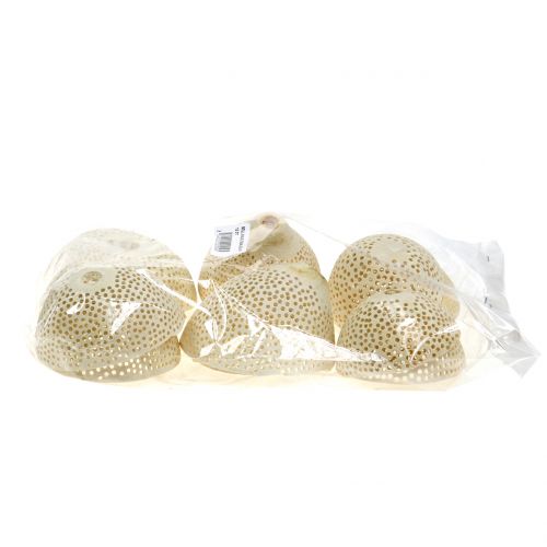 Dried Fruits Bell Cup bleached Funeral Floristry 8.5-11cm 10 Pcs | Floristik24.co.uk