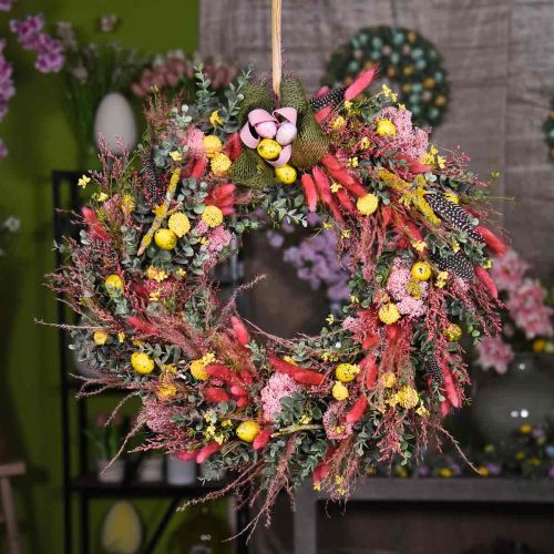Product Dried grasses long pink feather grass decoration Miscanthus 75cm 10 pcs