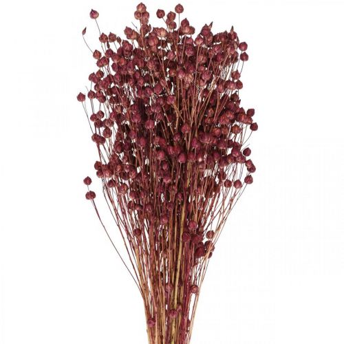 Product Dried Grass Dried Flax Old Pink H50–55cm 80g