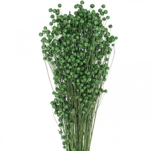 Product Dried Grass Dried Flax Green H50–55cm 80g