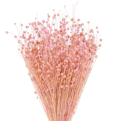 Dried Grass Dried Flax Light Pink H50–55cm 80g