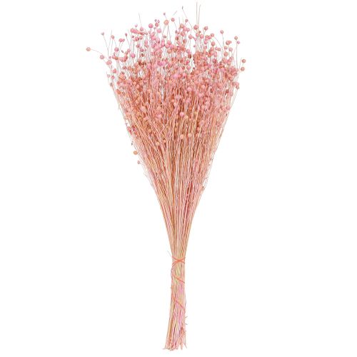 Product Dried Grass Dried Flax Light Pink H50–55cm 80g