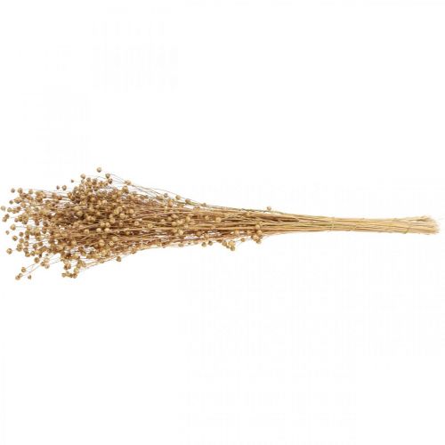 Floristik24 Dried Grass Dried Flax Natural H50-55cm 80g