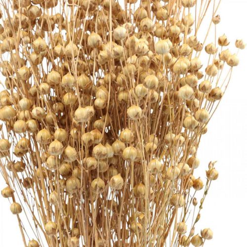 Floristik24 Dried Grass Dried Flax Natural H50-55cm 80g