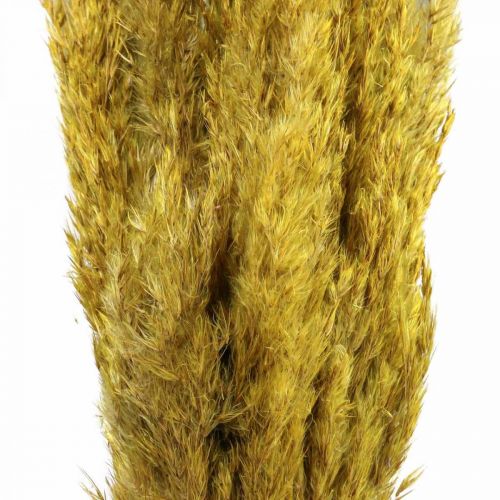 Product Dried grass sedge deco dried yellow 70cm 10p