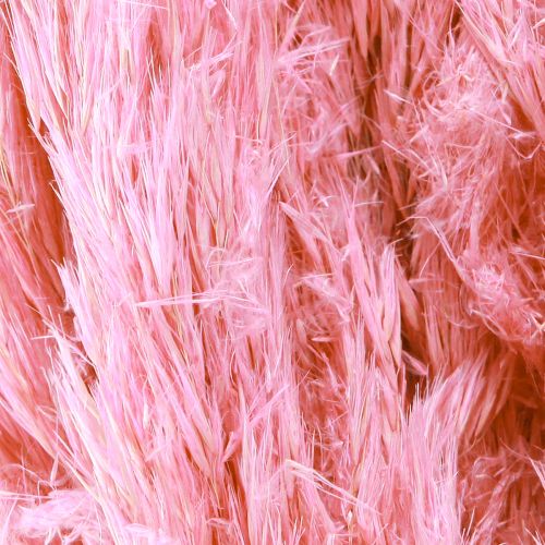 Product Dried Grass Reed Grass Dried Decorative Grass Pink 70cm 10 Pcs