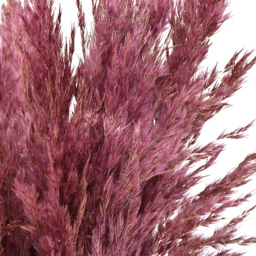 Product Dried Grass Reed Grass Dried Decorative Grass Old Pink 75cm 10 Pcs
