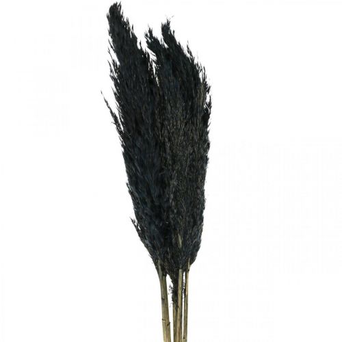 Floristik24 Dried grass sedge dried black deco grass 70cm 10 pieces