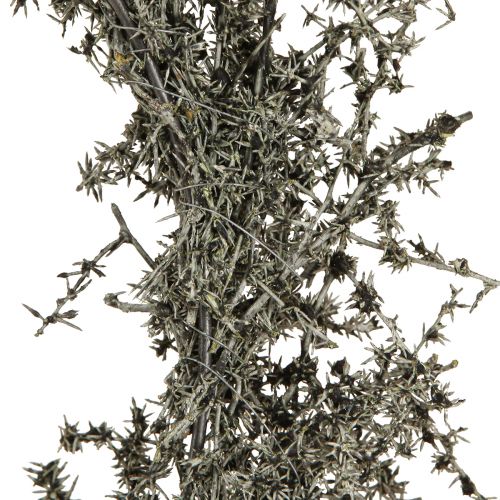Product Dried wreath Asparagus rustic decorative wreath wooden base Ø35cm