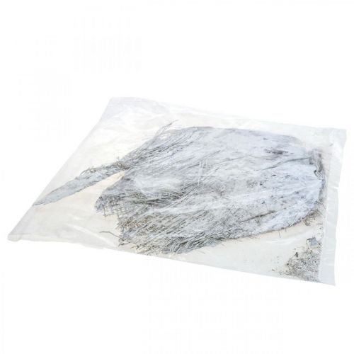 Product Dry plants decorative palm fibers white washed 250g