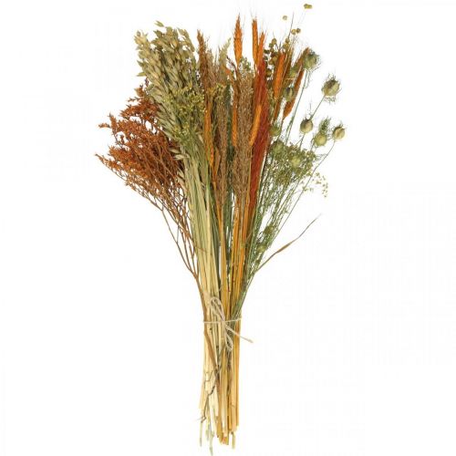 Floristik24 Dried flowers DIY set for drying bouquet orange 60cm