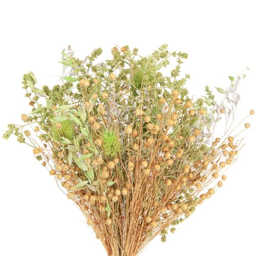 Product Dried Bouquet Teasel Oat Flax Mint Natural White 40cm 80g