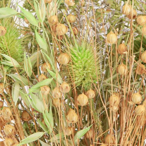 Product Dried Bouquet Teasel Oat Flax Mint Natural White 40cm 80g