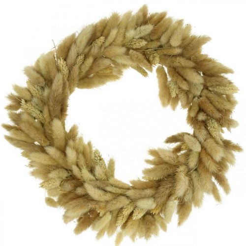 Floristik24 Door wreath dried flower wreath wreath velvet grass Lagurus Ø31cm