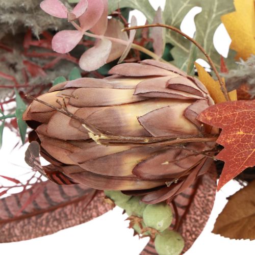 Product Door wreath Protea Artificial wreath with autumn leaves Ø55cm