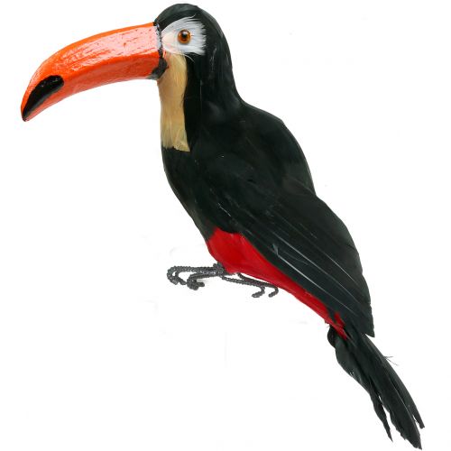 Floristik24 Deco toucan with feathers black L37cm