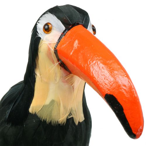 Product Deco toucan with feathers black L37cm