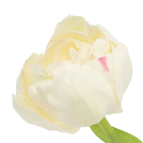 Product Tulip cream 37cm 6pcs