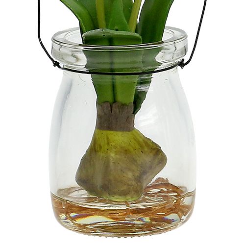 Floristik24 Tulip white in glass H21cm 1pc