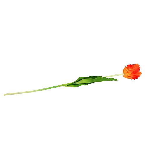 Floristik24 Tulip Orange 70cm