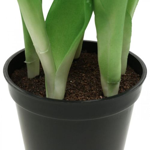 Product Tulip pink, green in a pot Artificial potted plant decorative tulip H23cm