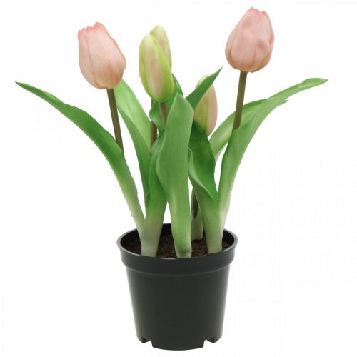 Floristik24 Tulip pink, green in a pot Artificial potted plant decorative tulip H23cm