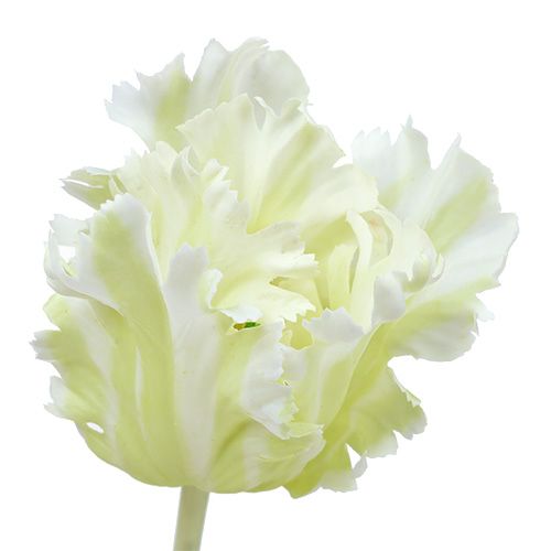 Floristik24 Tulip artificial white 70cm
