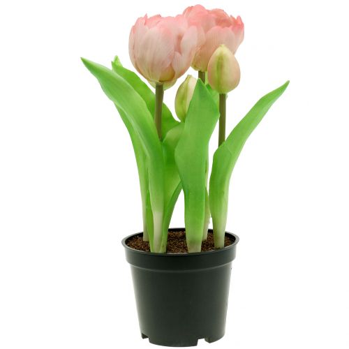 Floristik24 Artificial flowers in pot Artificial tulips pink yellow 22.5cm