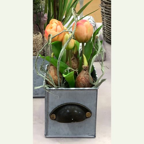 Floristik24 Parrot Tulip Real-Touch in Pot Pink 23cm