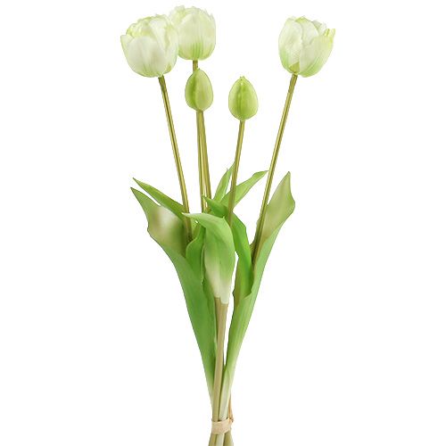 Floristik24 Tulips Cream Real-Touch Floral Decoration L43,5cm 5pcs