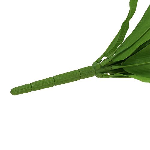 Floristik24 Tulip bush white 30cm