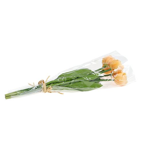 Floristik24 Tulip bouquet apricot 43cm