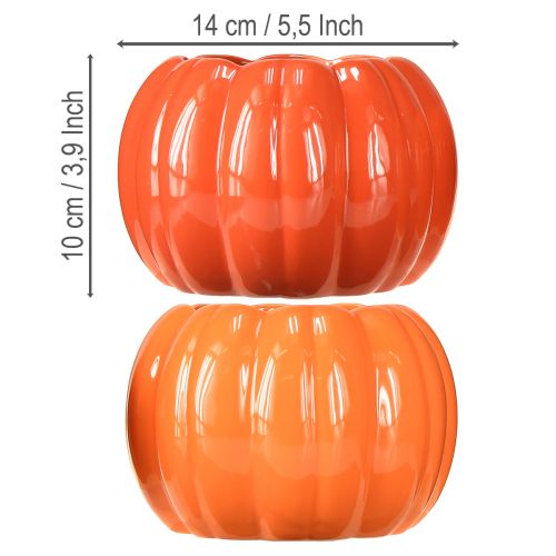 Product Planter ceramic pumpkin orange assorted Ø14cm H10cm 2 pcs